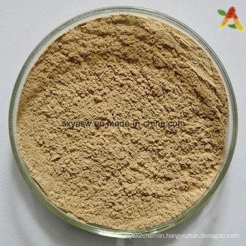 Natural Chlorogenic Acids Green Coffee Bean Extract